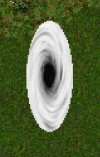 White Spinning Portal Sample.jpg